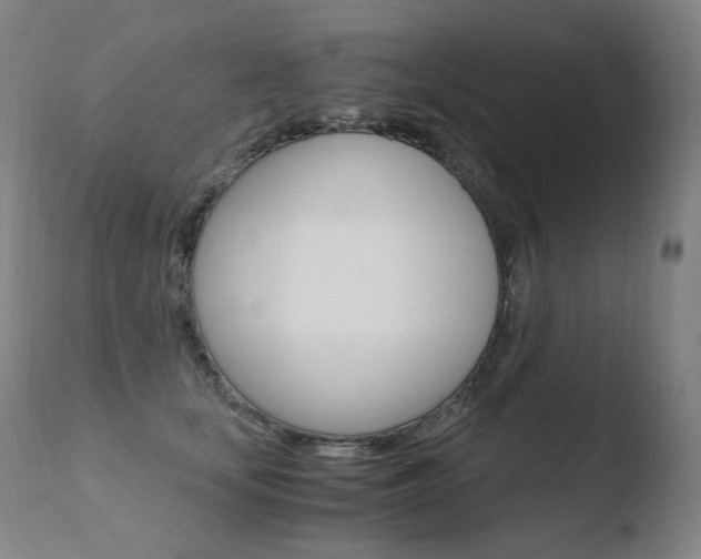 X0000110670659200906121103