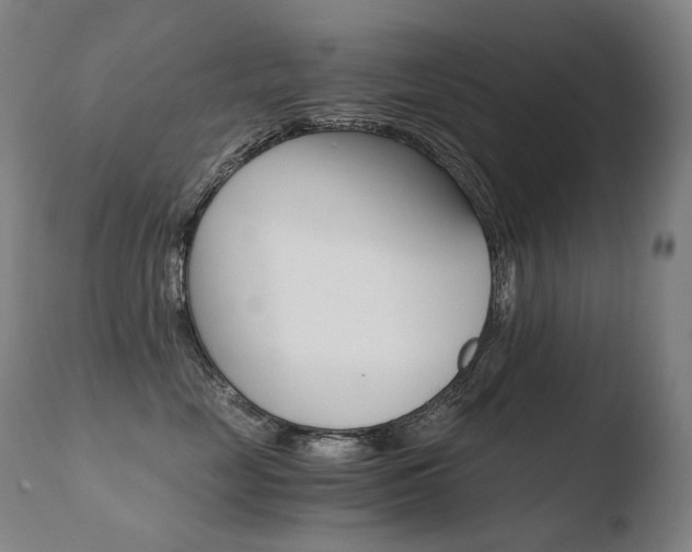 X0000110670669200906121103