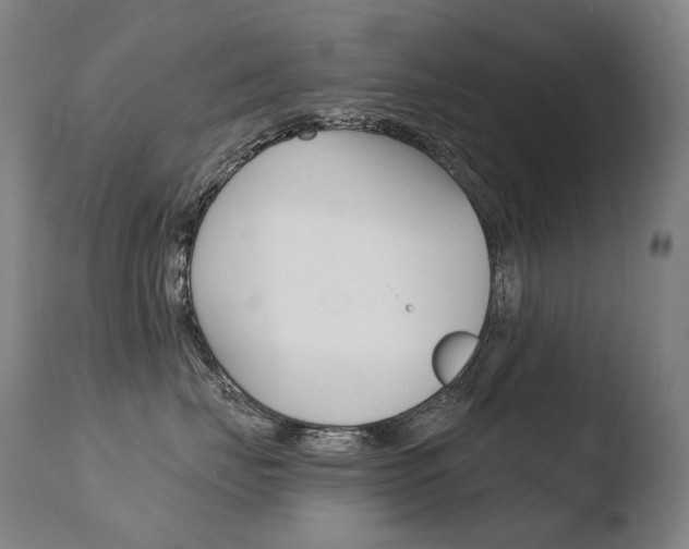 X0000110670671200906121103