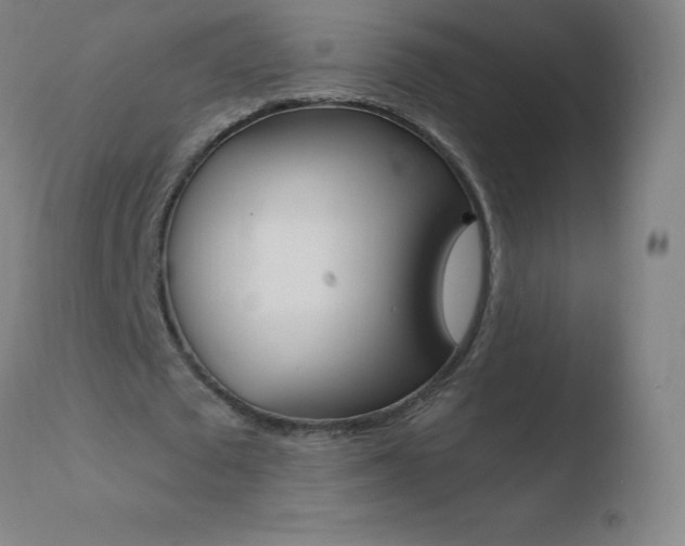 X0000110670673200906121102