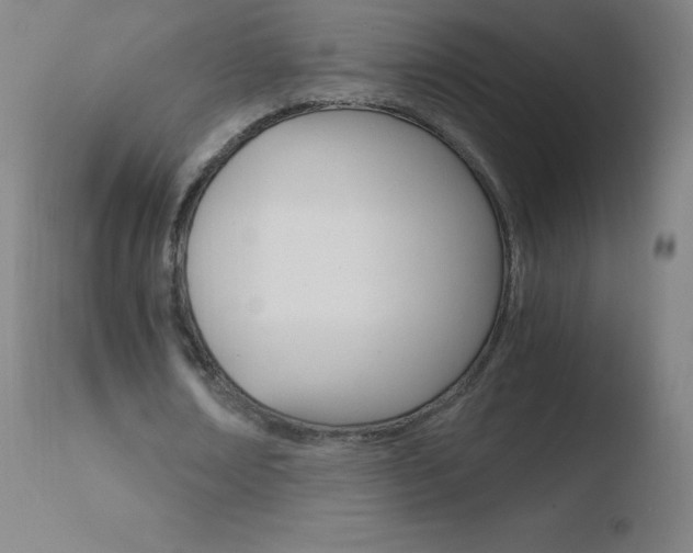 X0000110670674200906121102