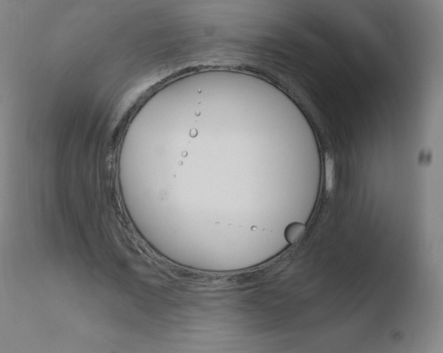 X0000110670675200906121102