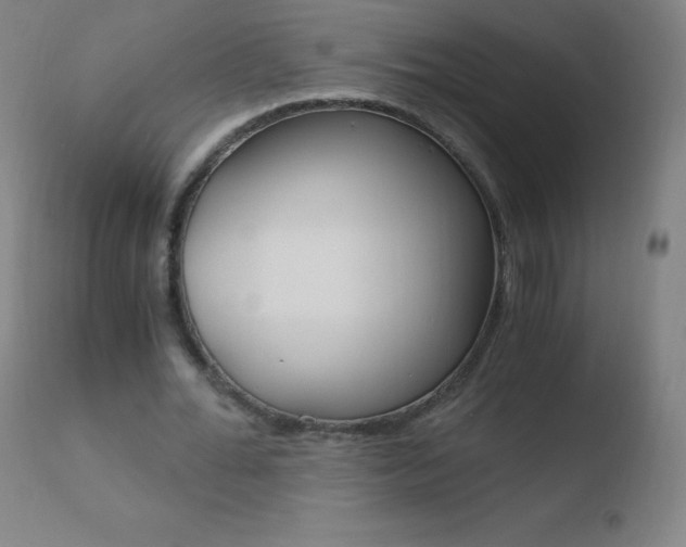 X0000110670676200906121102
