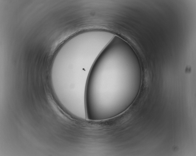 X0000110670677200906121102