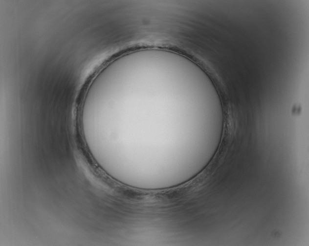 X0000110670678200906121102