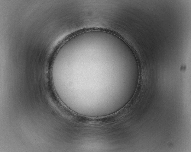 X0000110670680200906121102