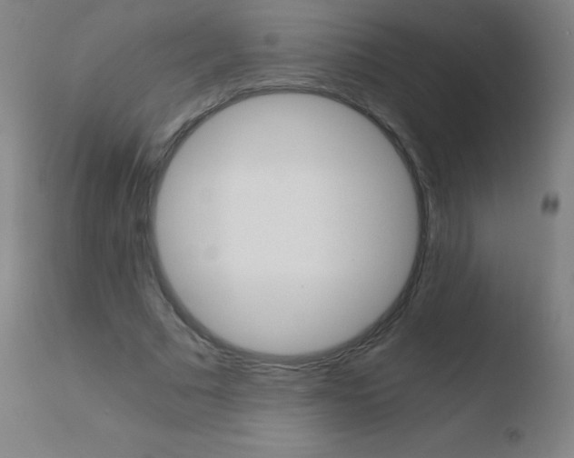 X0000110670681200906121102