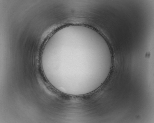 X0000110670682200906121102