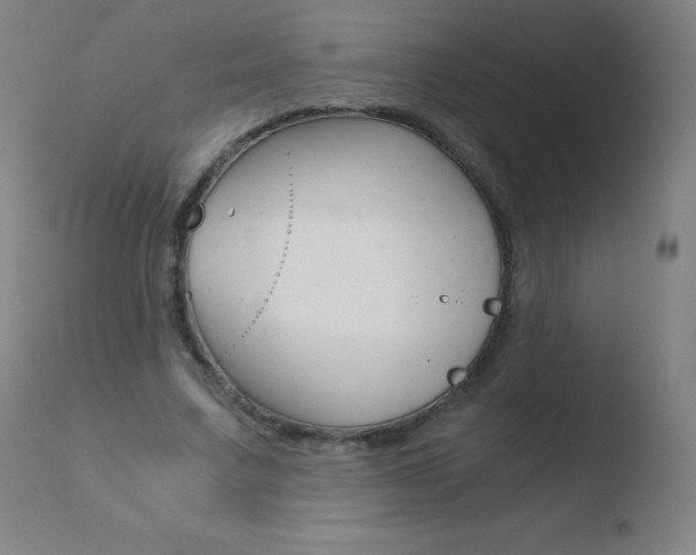 X0000110670683200906121102