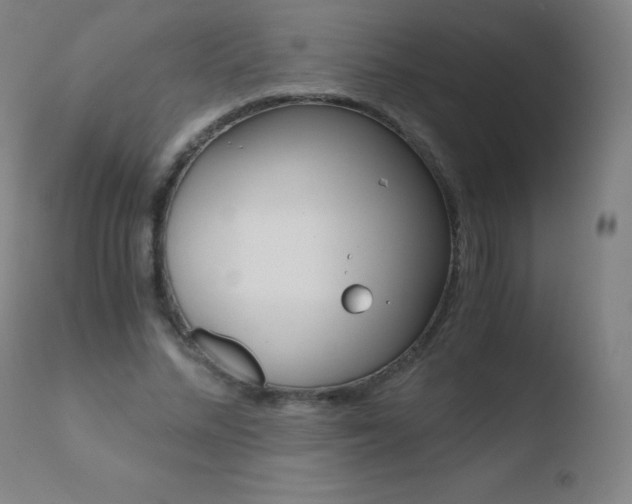 X0000110670684200906121102