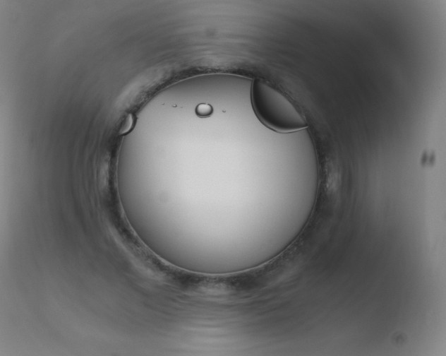X0000110670685200906121102
