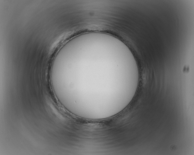 X0000110670686200906121102
