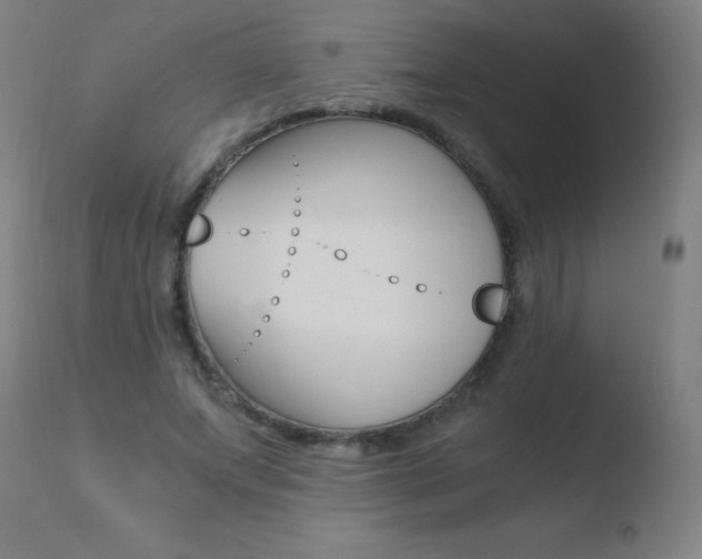 X0000110670687200906121102