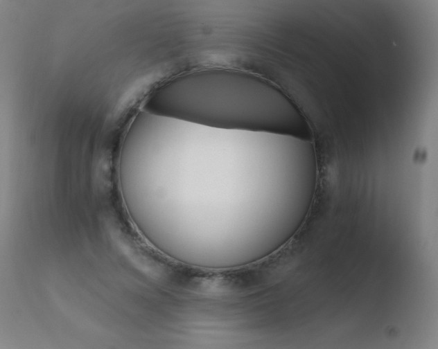 X0000110670688200906121102