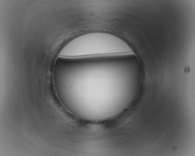 X0000110670689200906121102