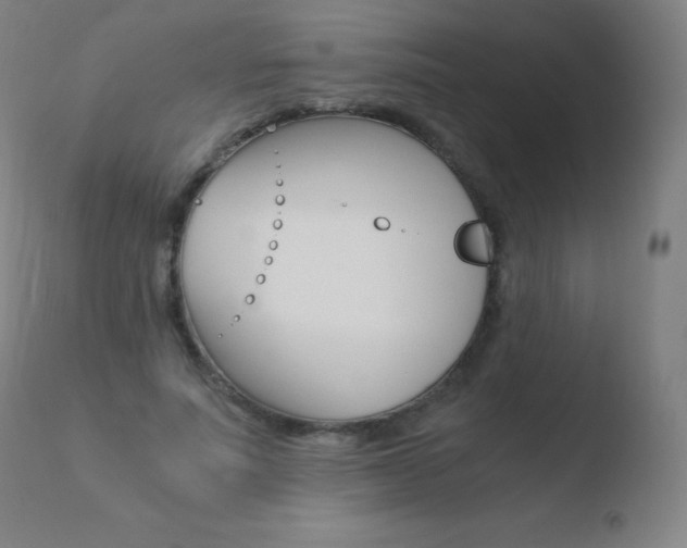 X0000110670691200906121102