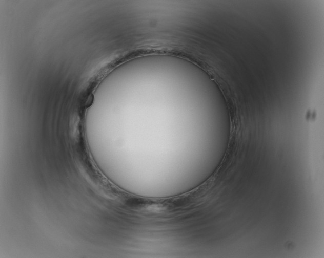 X0000110670692200906121102
