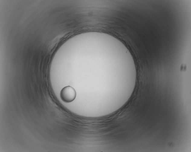 X0000110670693200906121102
