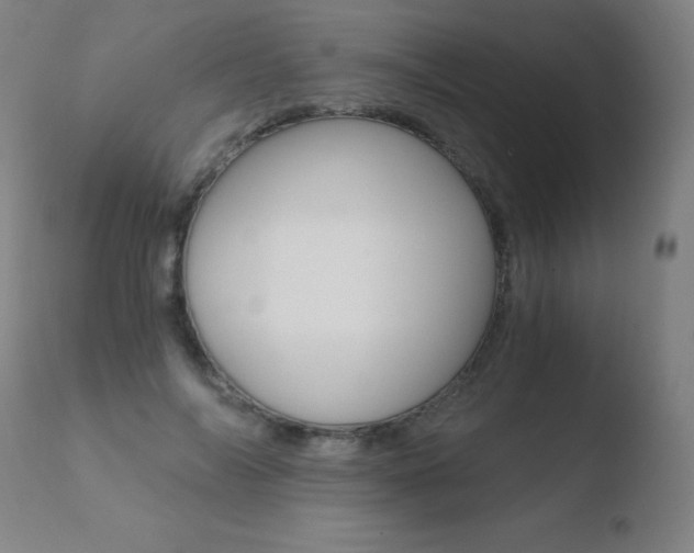 X0000110670694200906121102