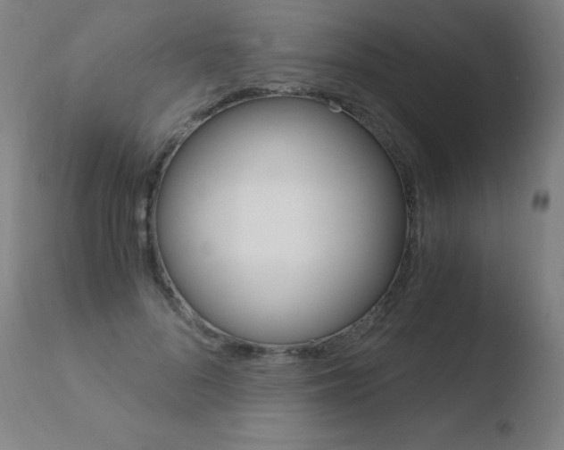 X0000110670696200906121102