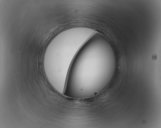 X0000110670697200906121102
