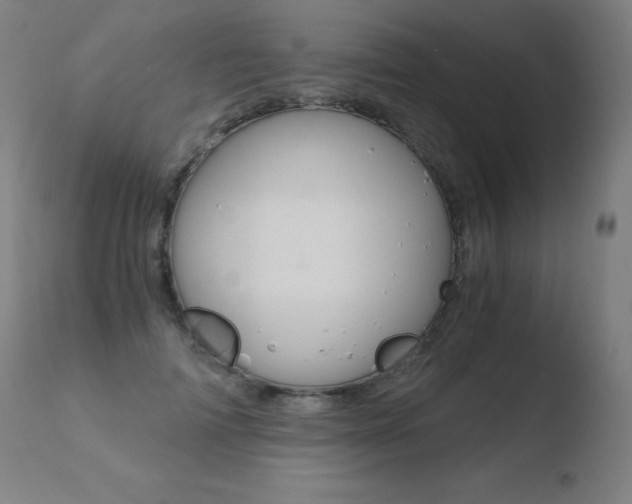 X0000110670698200906121102