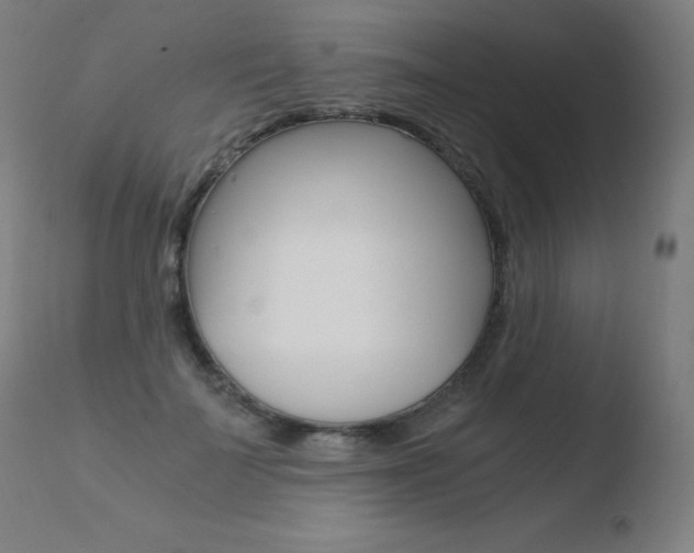 X0000110670699200906121102