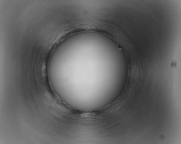 X0000110670700200906121101