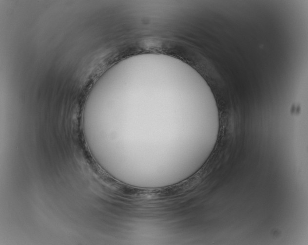 X0000110670702200906121101