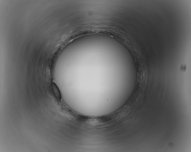 X0000110670704200906121101