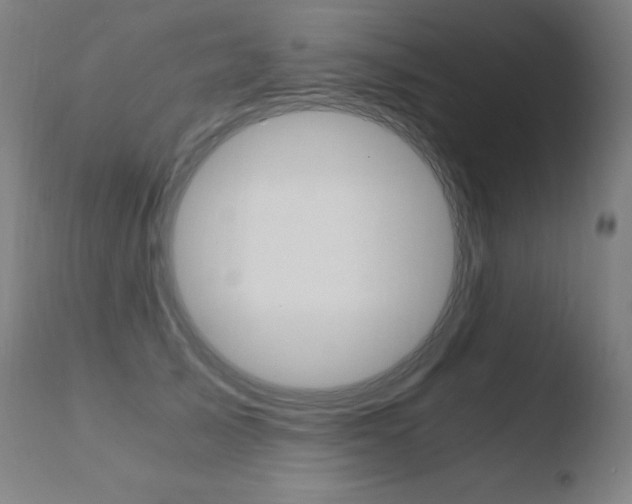 X0000110670705200906121101