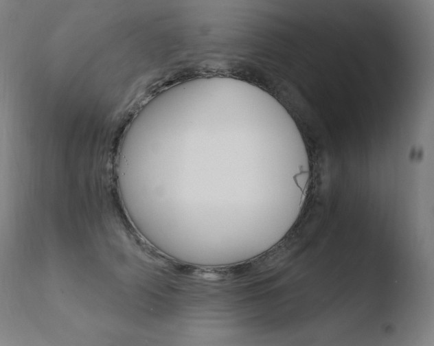 X0000110670706200906121101