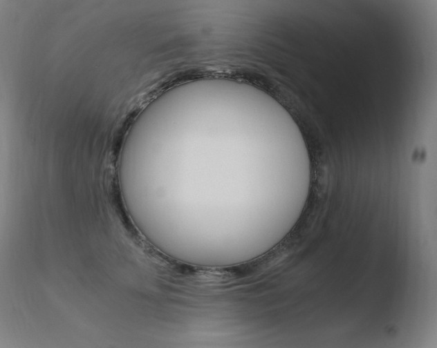 X0000110670707200906121101