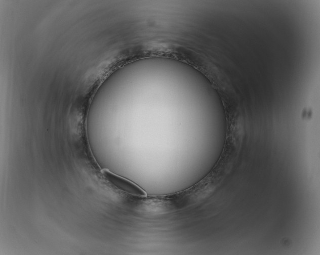 X0000110670708200906121101