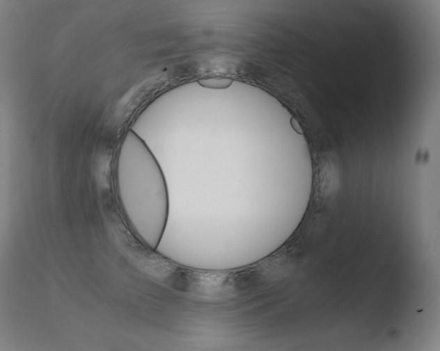 X0000110670709200906121101