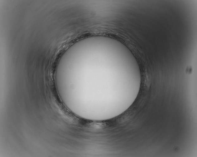 X0000110670711200906121101