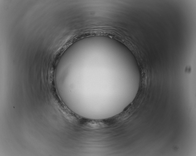 X0000110670712200906121101