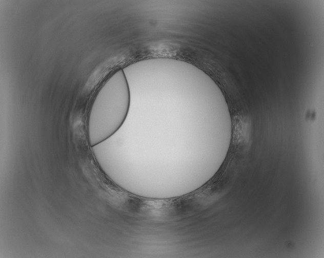 X0000110670713200906121101