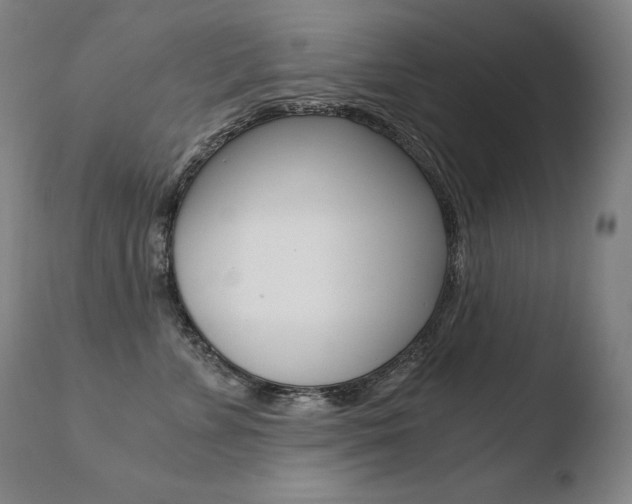 X0000110670715200906121101