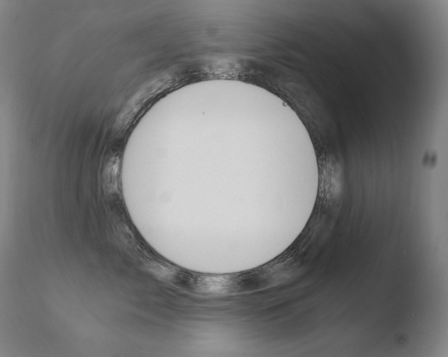 X0000110670717200906121101