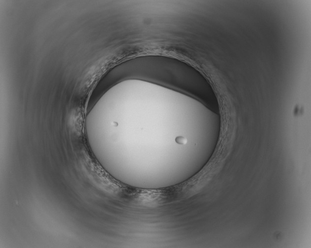 X0000110670720200906121101