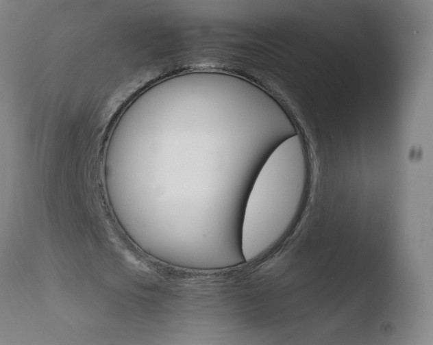 X0000110670721200906121100