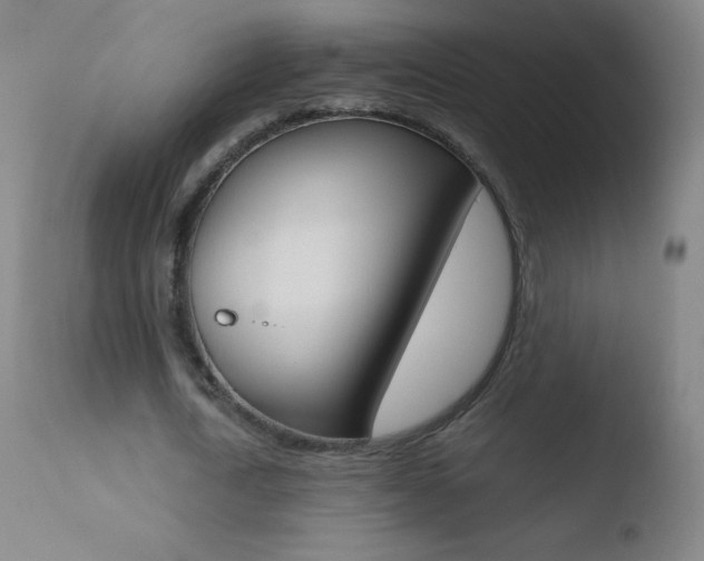 X0000110670722200906121100
