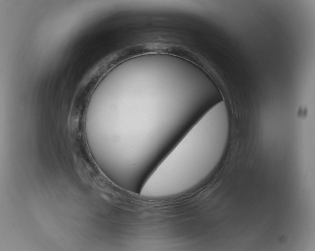 X0000110670723200906121100