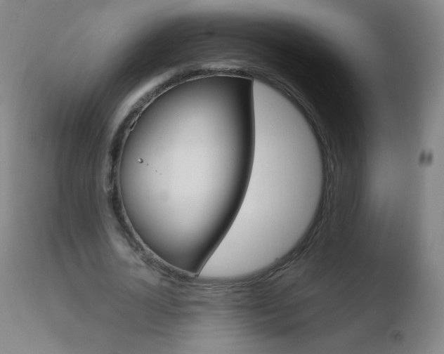 X0000110670724200906121100