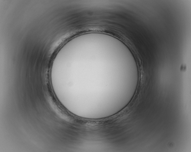 X0000110670725200906121100
