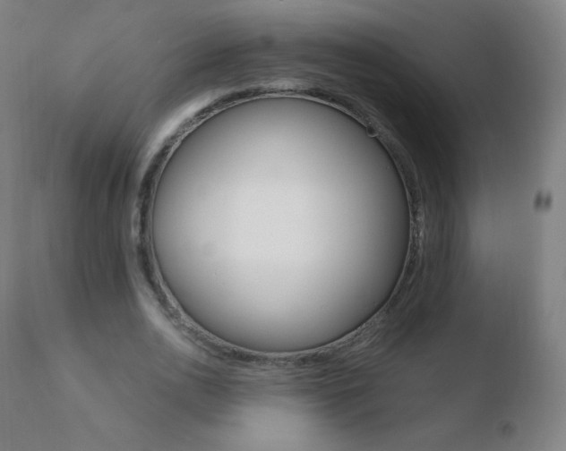 X0000110670726200906121100