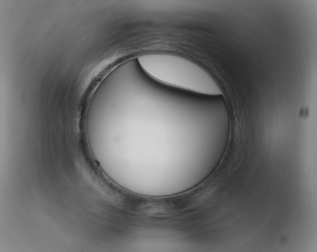 X0000110670727200906121100