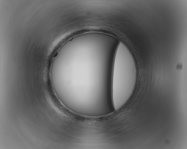 X0000110670728200906121100