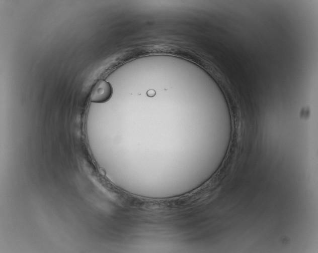 X0000110670729200906121100